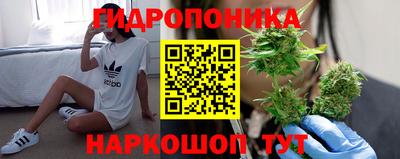 прущие крисы Краснодар