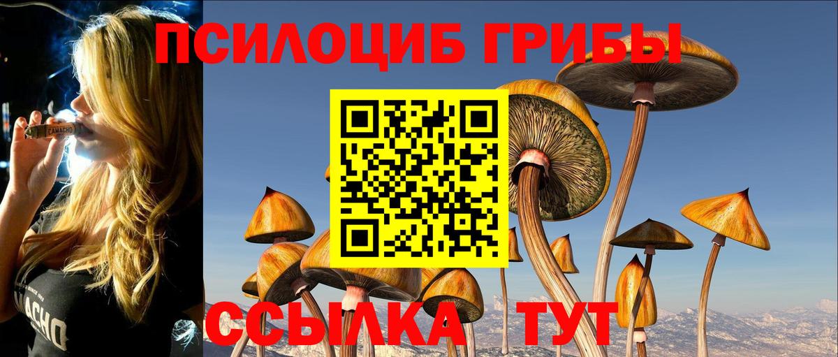 Йошкар-Ола  Галлюциногенные грибы Psilocybine cubensis  Вход с VPN  Псилоцибиновые грибы MAGIC MUSHROOMS 